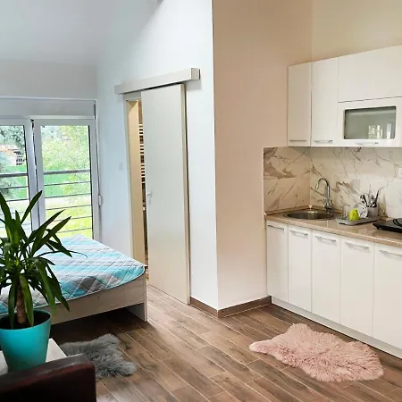Fruska Gora Apartment Novi Sad